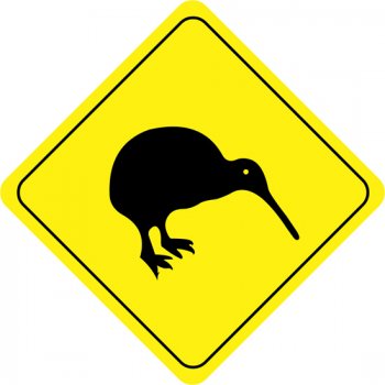 Der Kiwi, dass Nationaltier der Neuseeländer 