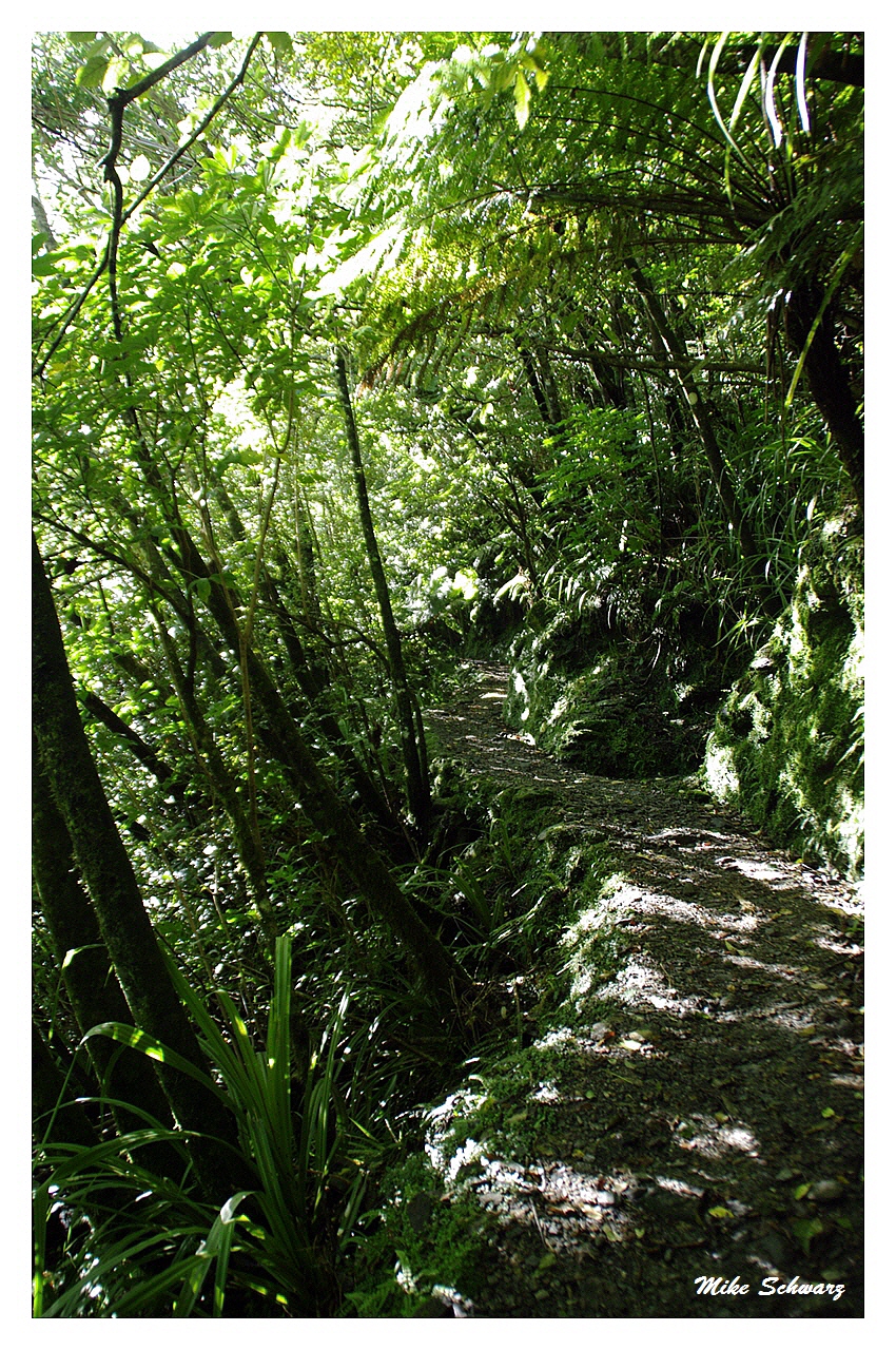 Tatare Tunnels Walk