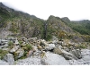 Franz Josef Glacier