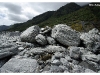 Franz Josef Glacier