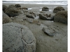 Moeraki Boulders
