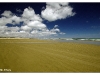Ninety Miles Beach