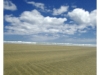 Ninety Miles Beach