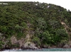 Bay of Islands