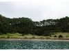 Bay of Islands