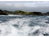Bay of Islands