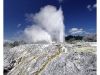 Pohutu-Geysir Rotorua