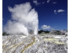 Pohutu-Geysir Rotorua