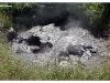 Mudpools Rotorua