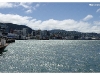 Wellington