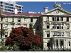 Government Building & Pohutukawa
