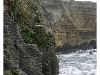 Punakaiki Pancake Rocks