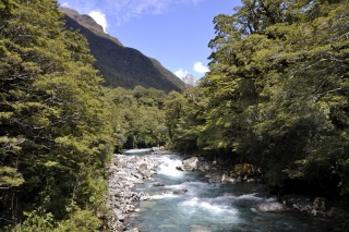 Milford Sound Route