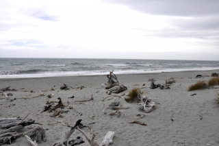 Westküste Maori Beach