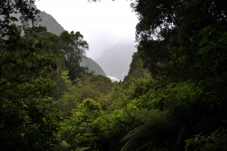 Fox Glacier