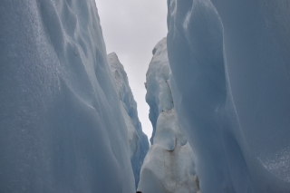 Franz Josef Glacier