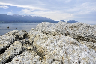 Kaikoura Beach
