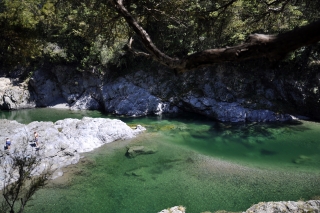 Pelorus Brücke