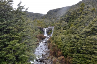 Wasserfall im Tongario NP