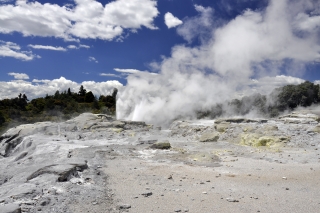 Rotorua, Pohutu Geysir