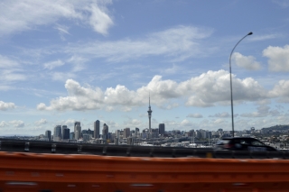Auckland Skyline
